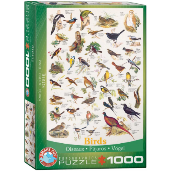 Birds (1000)