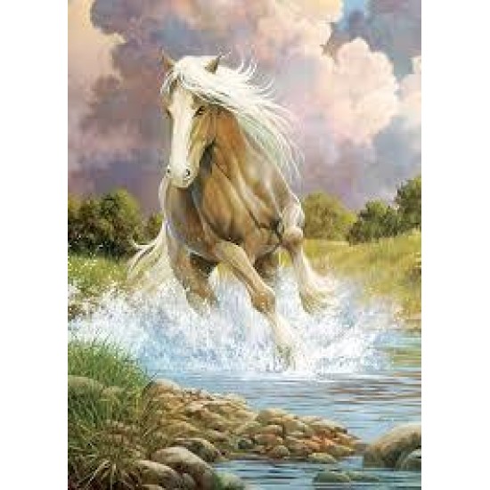 Ch River Horse