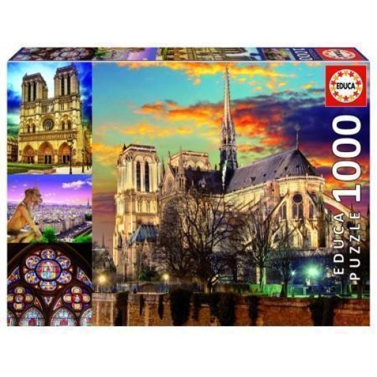 Collage Notre Dame (1000)