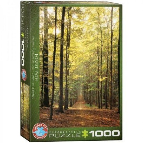 Forest Path (1000)