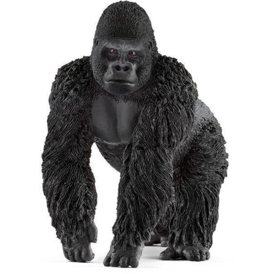 Gorilla Mannetje