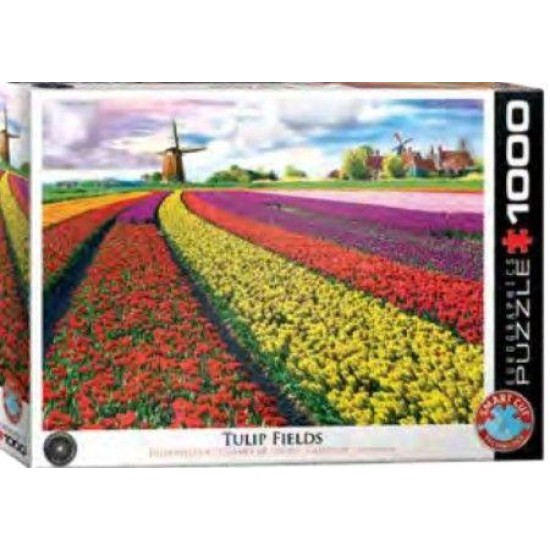 Tulip Fields Netherlands (1000)