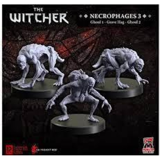 Necrophages 3: Grave Hag The Witcher