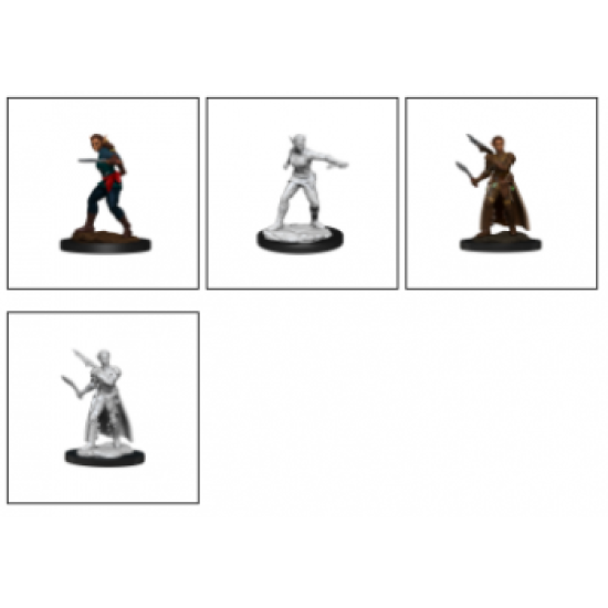 Dungeons And Dragons Nolzur's Marvelous Miniatures - Shifter Rogue Female