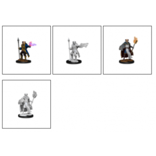 Dungeons And Dragons Nolzur's Marvelous Miniatures - Multiclass Cleric  And  Wizard Male