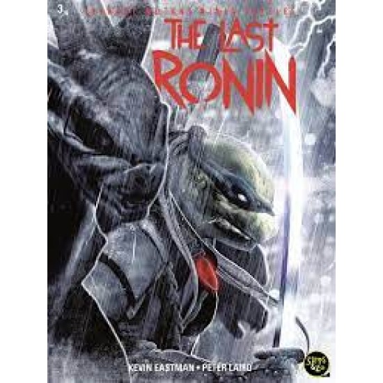 Teenage Mutant Ninja Turtles The Last Ronin 3 (Van 4)