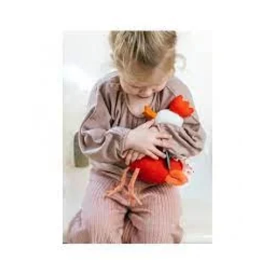 Lilliputiens - Multi-Activiteiten Kip Paulette