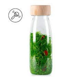 Ladybirds - Sensory Bottle