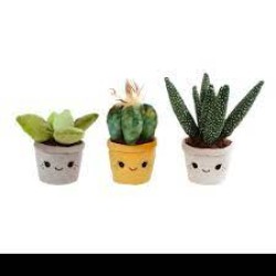 Take Me Home Knuffel Plant Pluche - Aloe Vera