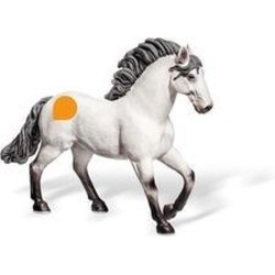 Andalusiër Merrie Andalusiër Merrie