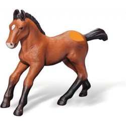 Andalusiër Veulen Andalusiër Veulen