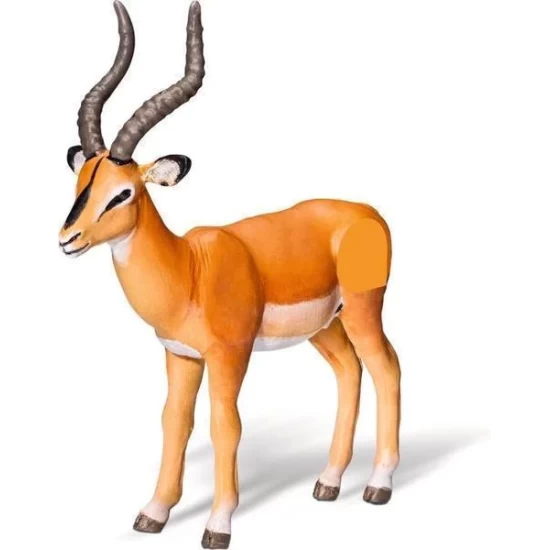 Antilope Antilope
