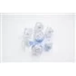 Dice Embraced Polar Bear Rpg Dice Set 7Stukjes