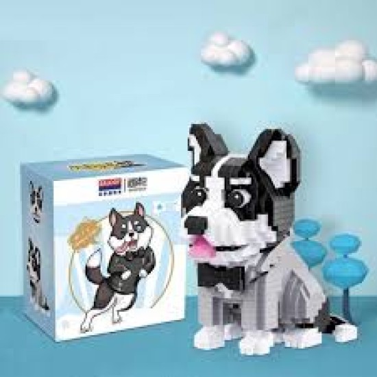 Balody Husky