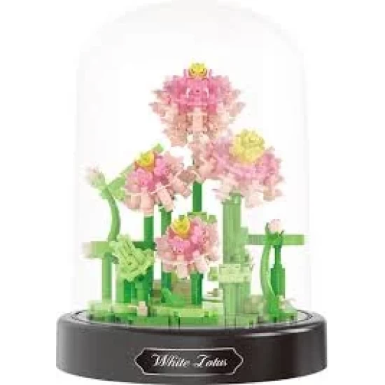 Balody Lotus
