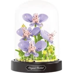 Balody Orchids Balody Orchids