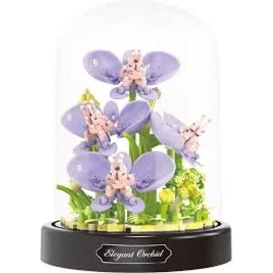 Balody Orchids Balody Orchids