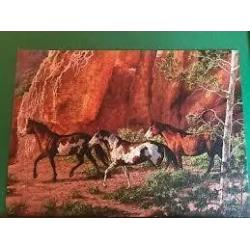 Cobble Hill Puzzle 1000 Pieces - Horse Canyon Cobble Hill Puzzle 1000 Pieces - Horse Canyon