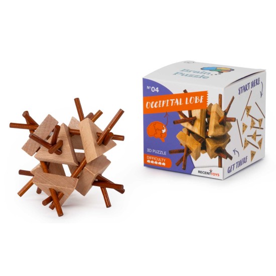 Occipital Lobe Brainpuzzel 4 Recent-Fsc