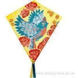 Bird Bird