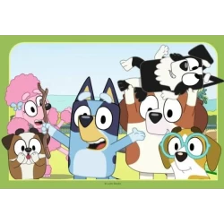 Bluey (2 X 12) Bluey (2 X 12)