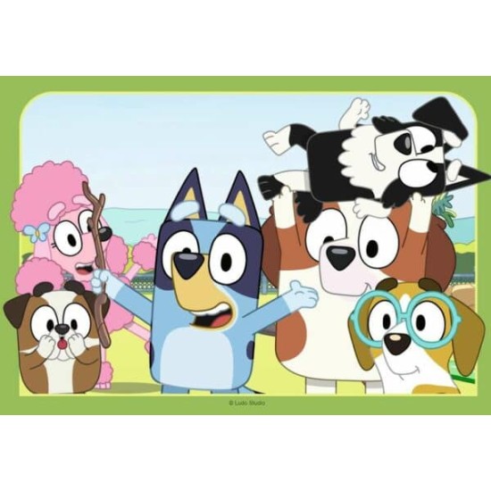 Bluey (2 X 12)