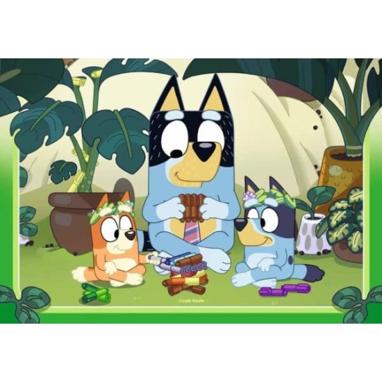 Bluey (2 X 24)