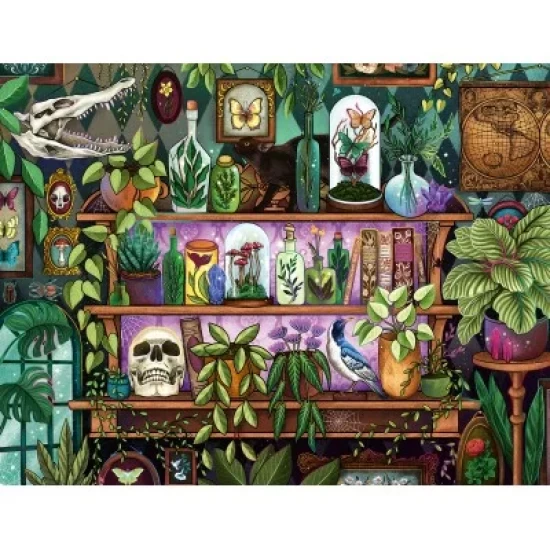 Botanic Fantasy (2000) Botanic Fantasy (2000)
