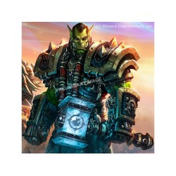 Cadeauset World Of Warcraft The Orc Thrall Revell Modelbouwpakket Met Basisaccessoires