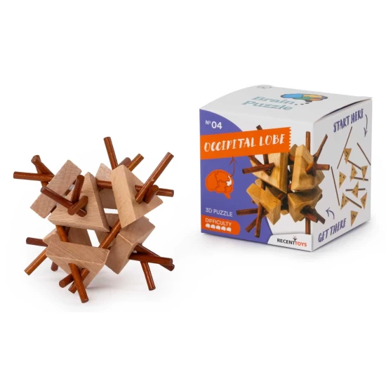 Brain Puzzle #4 Brain Puzzle #4