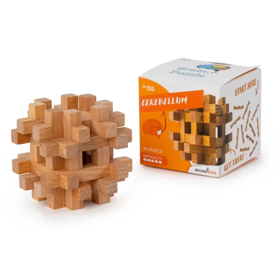 Brain Puzzle #5 Brain Puzzle #5
