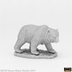 Cave Bear Cave Bear
