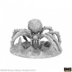 Cave Spider Cave Spider
