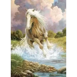 Ch River Horse