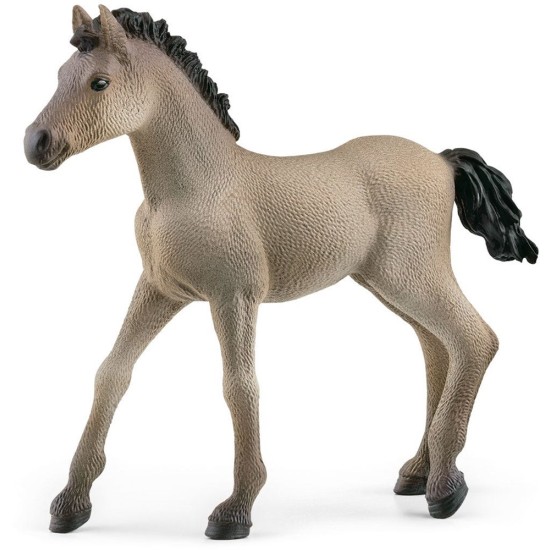 Schleich Horse Club Criollo Definitivo Veulen