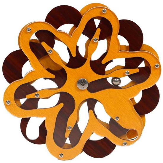 Star Path - Constantin Brainpuzzel-Fsc