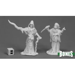 Cultist Priests (2) Cultist Priests (2)