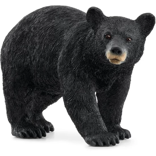 Schleich Wild Life Amerikaanse Zwarte Beer