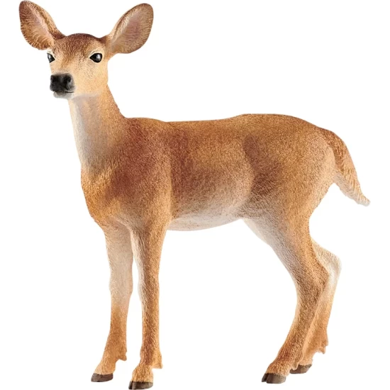 Schleich Wild Life Witstaarthertenkoe