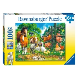 Dierenbijeenkomst (100Xxl) Dierenbijeenkomst (100Xxl)