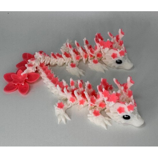 Draak Baby L Blossom  Mix