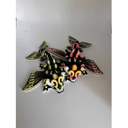 Draak Baby L Butterfly Mix Draak Baby L Butterfly Mix