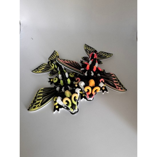 Draak Baby M Butterfly  Mix