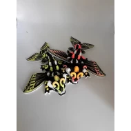 Draak Baby S Butterfly Mix