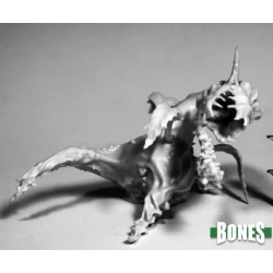 Dragon Plant Dragon Plant