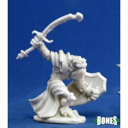 Dragonman Fighter Dragonman Fighter