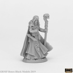 Drow Male Wizard Drow Male Wizard