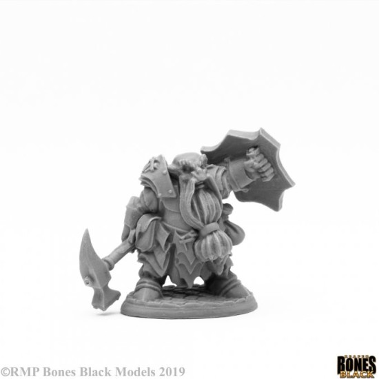 Dwarf Paladin Smiter
