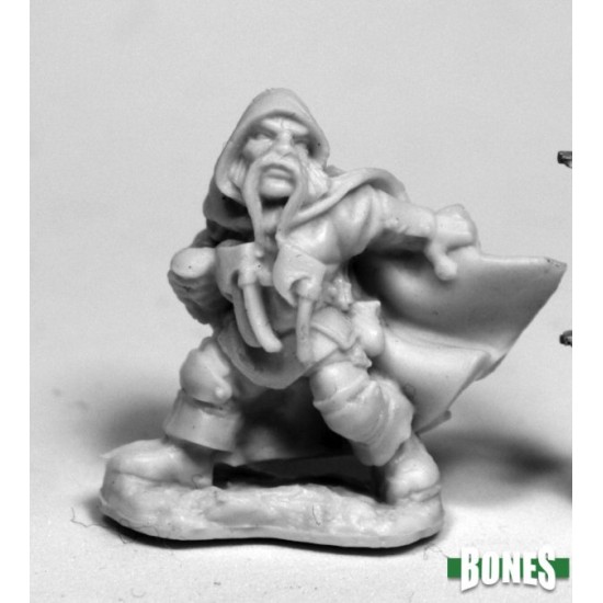 Dwarf Rogue Klaus