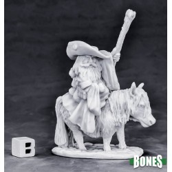 Dwarf Wizard Mounted